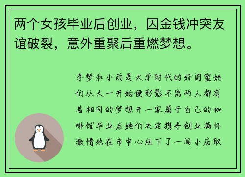 两个女孩毕业后创业，因金钱冲突友谊破裂，意外重聚后重燃梦想。